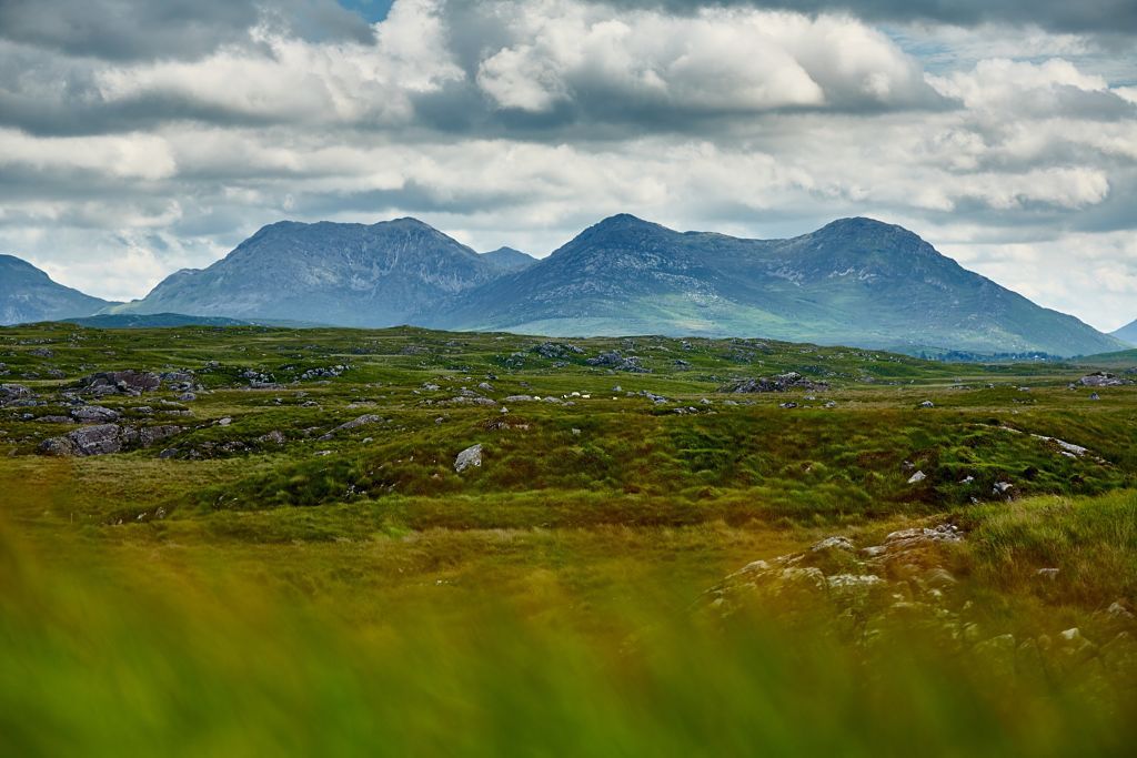 Derrigimlagh Bog Turbera, Galway