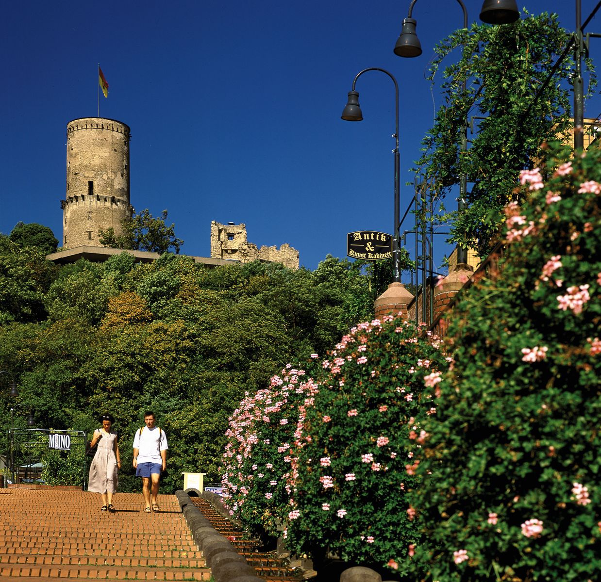 Castillo de Godesburg