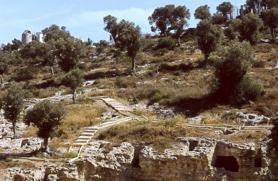 Necrópolis Púnica de Puig des Molins