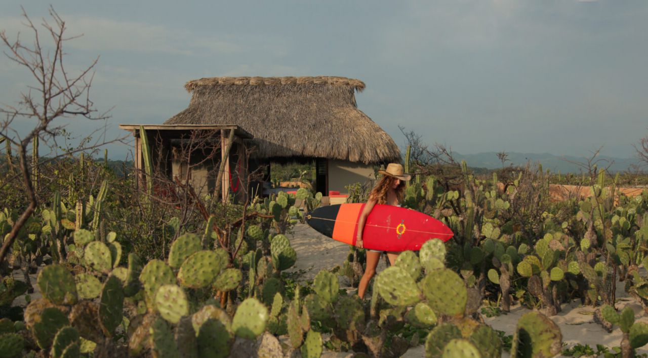 Jardin de cactus