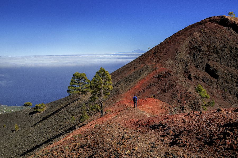 Caminante Volcanes