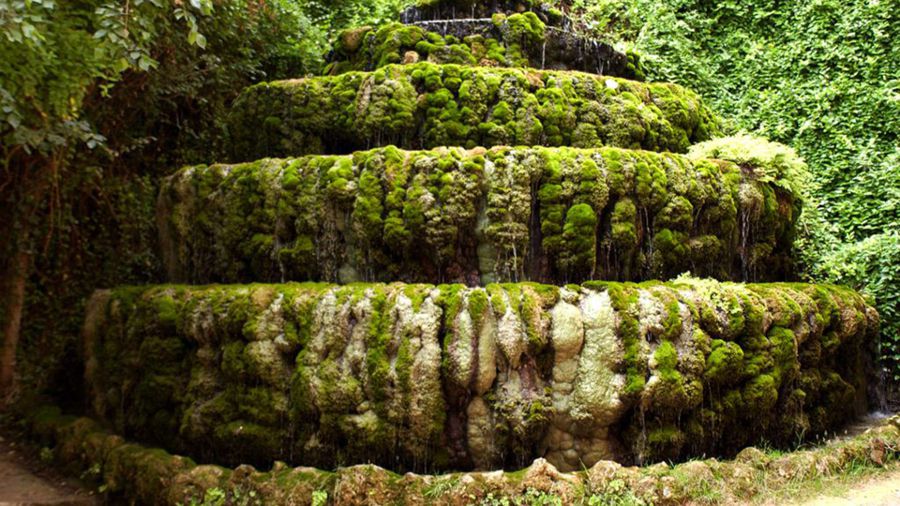 Parque Natural Monasterio de Piedra