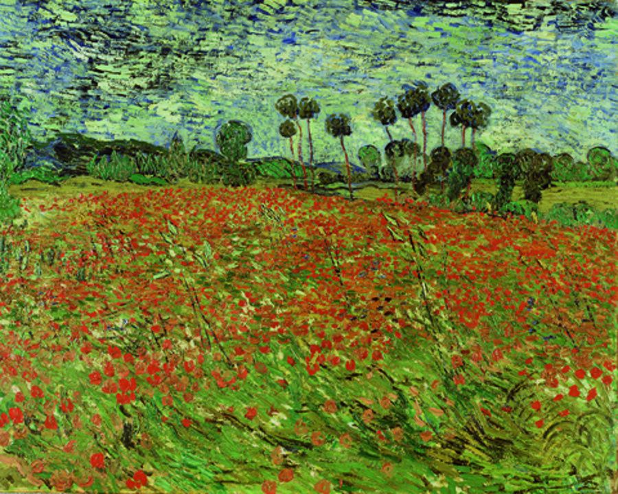 Vincent van Gogh -Campo de amapolas