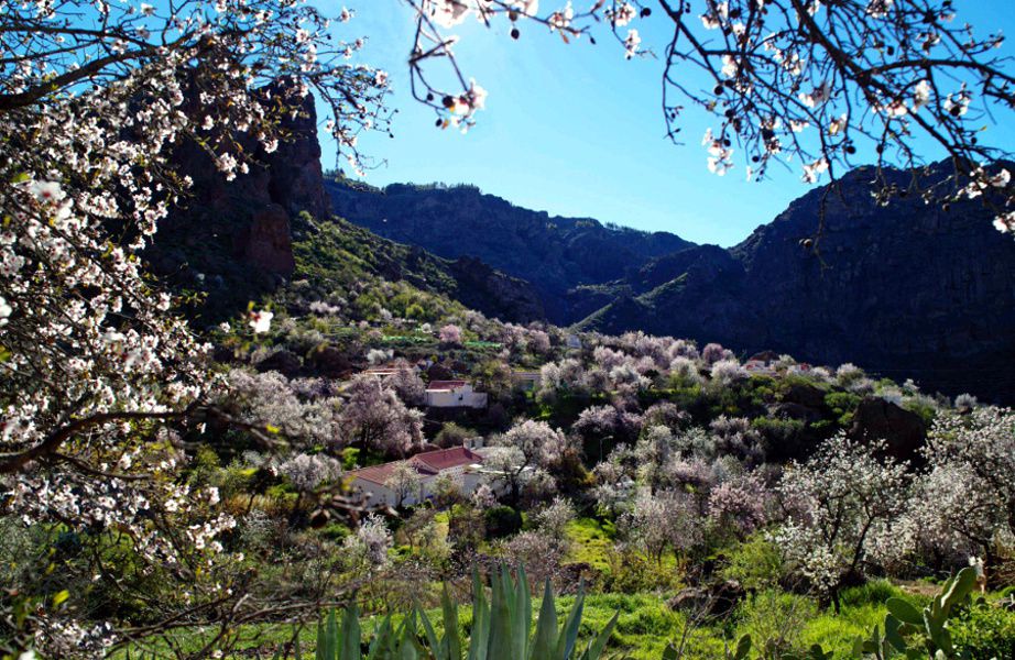 Interior de la isla