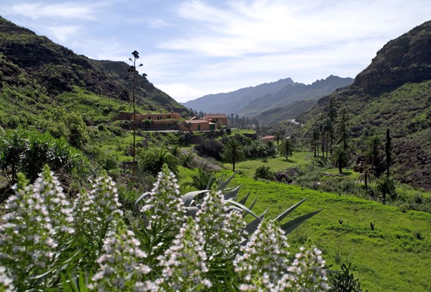 Mogán - Valle de Mogán