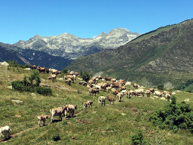 Valle de Boí