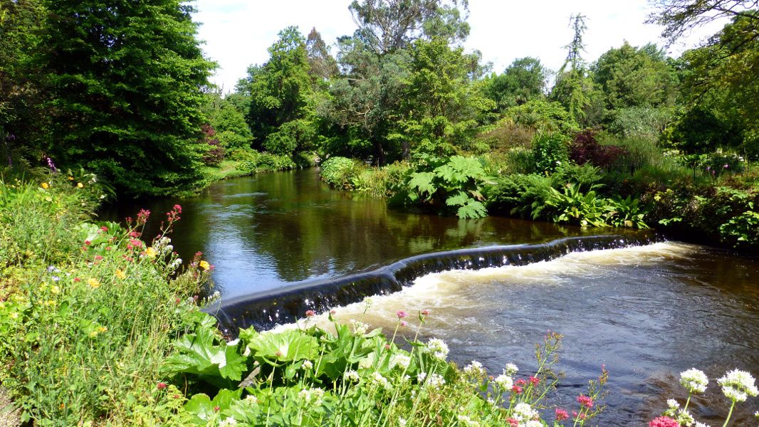 Mount Usher Gardens