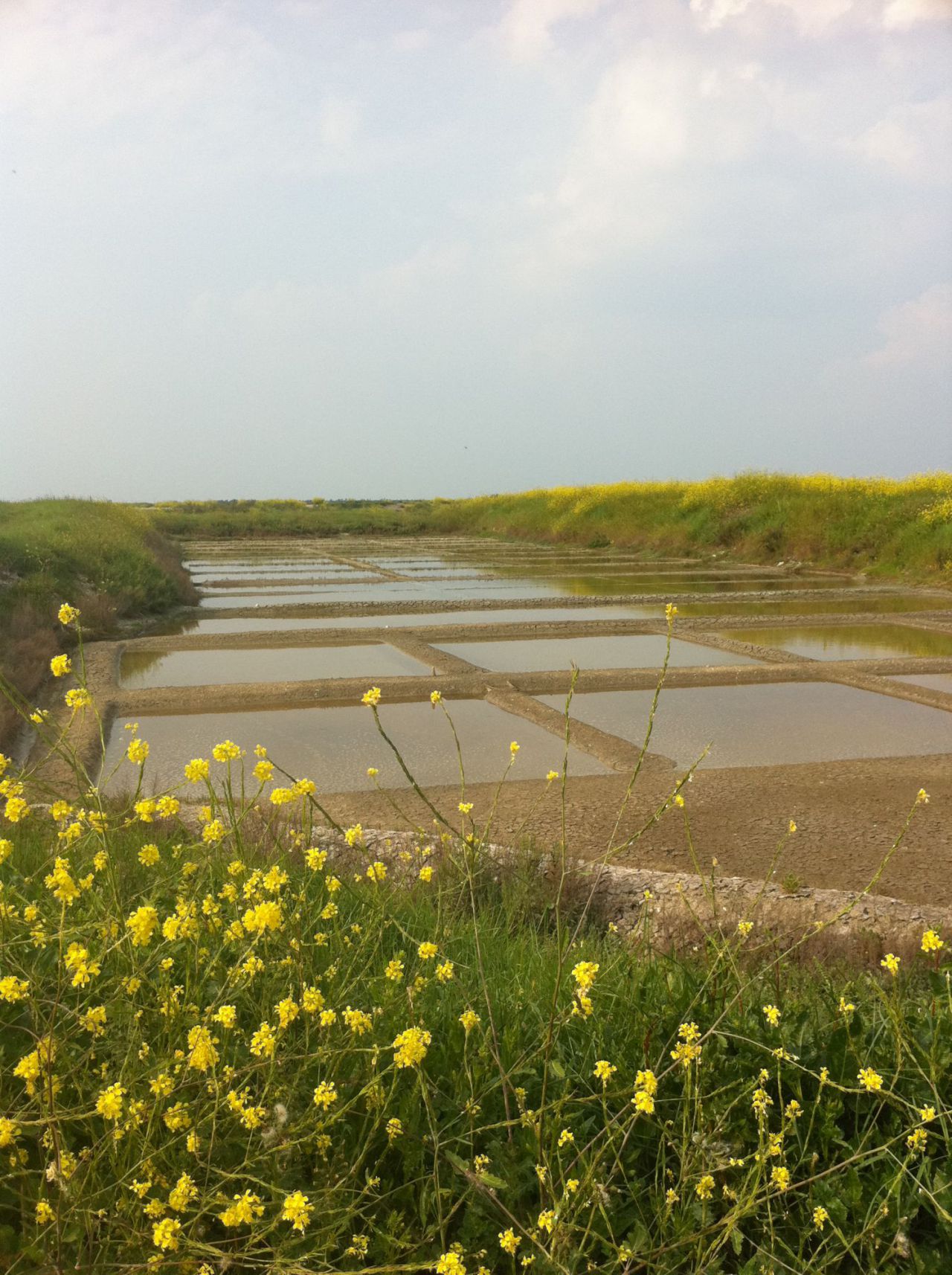 Isla de Ré   (Île de Ré)