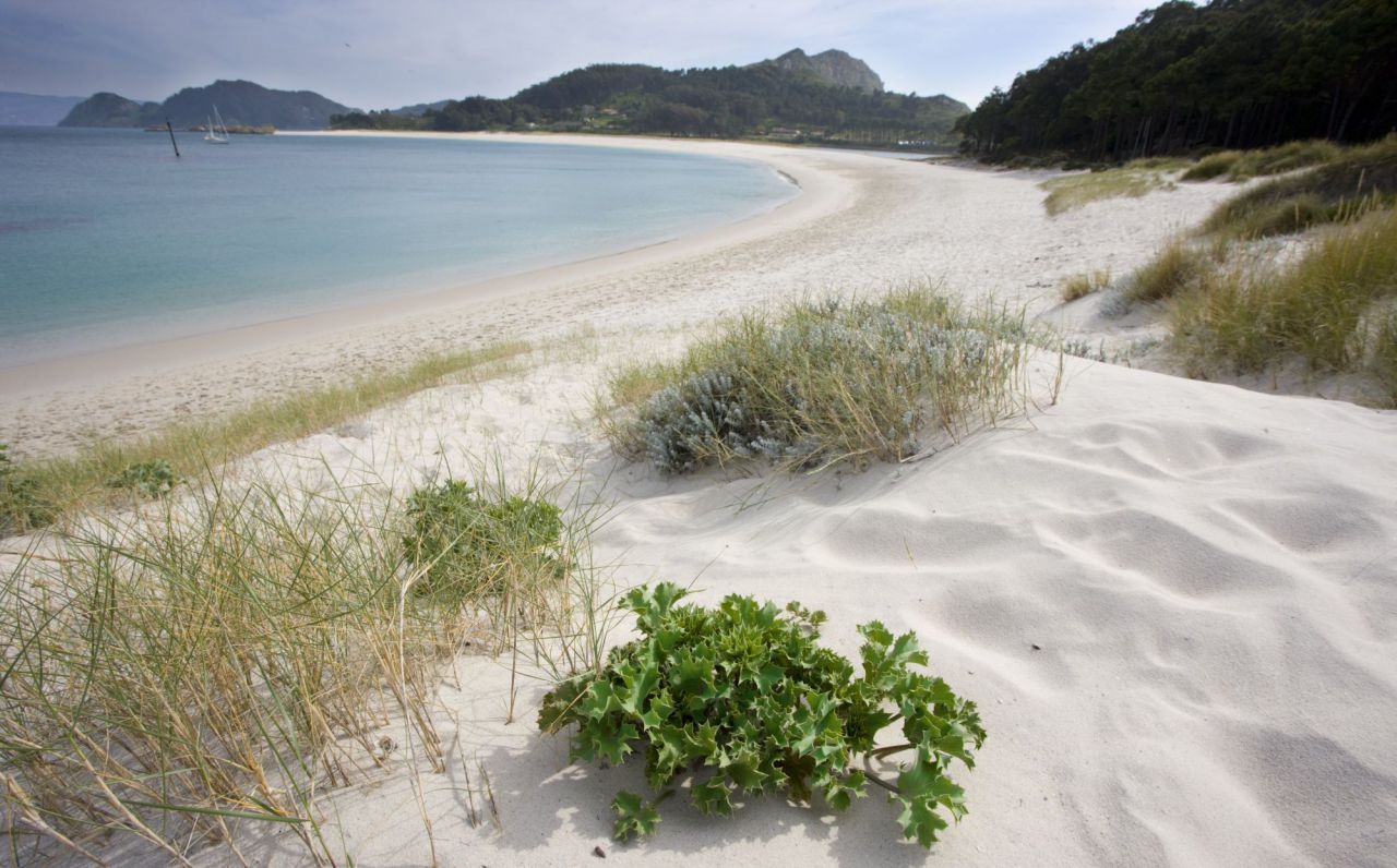 Playa de Rodas en las Cies