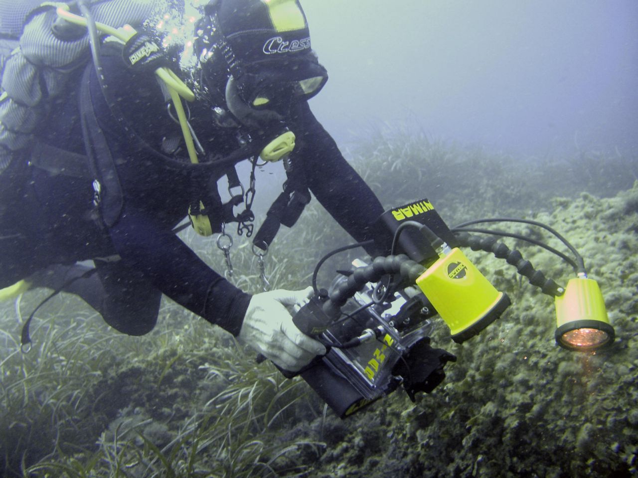 Buceo en Monastir