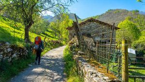 Motivos para elegir el Camino Portugués del Camino de Santiago