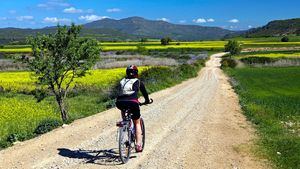 Navarra uno de los mejores destinos turísticos para ciclistas