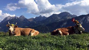 La fiesta del Désalpe, en septiembre, todo un espectáculo en Suiza