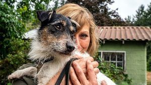 Más de la mitad de españoles viaja este verano a un destino rural con su perro