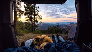 Consejos para viajar en autocaravana con tu perro durante el verano