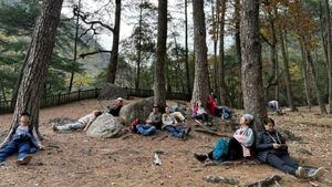 Terapia forestal en Aowanda, Taiwán