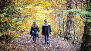 Escapadas urbanas, naturaleza y gastronomía en Valonia para el otoño