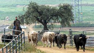 Escapadas sostenibles y llenas de encanto en un hotel o casa rural