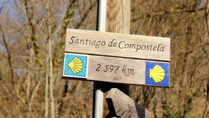 El Camino de Santiago: descubre la riqueza de sus rutas con Santiago Ways