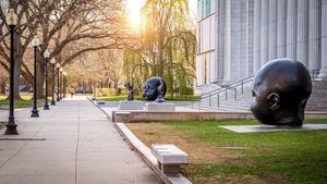 Ciudades de Estados Unidos con planes culturales para el otoño