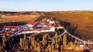 La Temeraria, el primer rosado de la bodega Dehesa La Granja