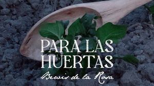 Bewis de la Rosa y su nuevo single: PARA LAS HUERTAS