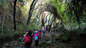 El Turismo Activo y Ecoturismo en Canarias: un modelo turístico sostenible