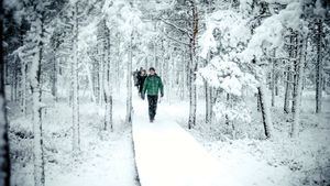 Planes al aire libre para disfrutar del invierno en Estonia