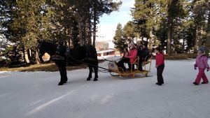 Beille, la cuna de los caballos de Mérens y del ski-joëring