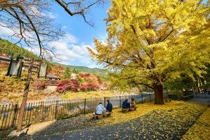 Paisajes y festivales de Tokio en otoño