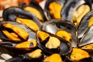 Mejillones: el humilde molusco que merece un lugar destacado en su cocina