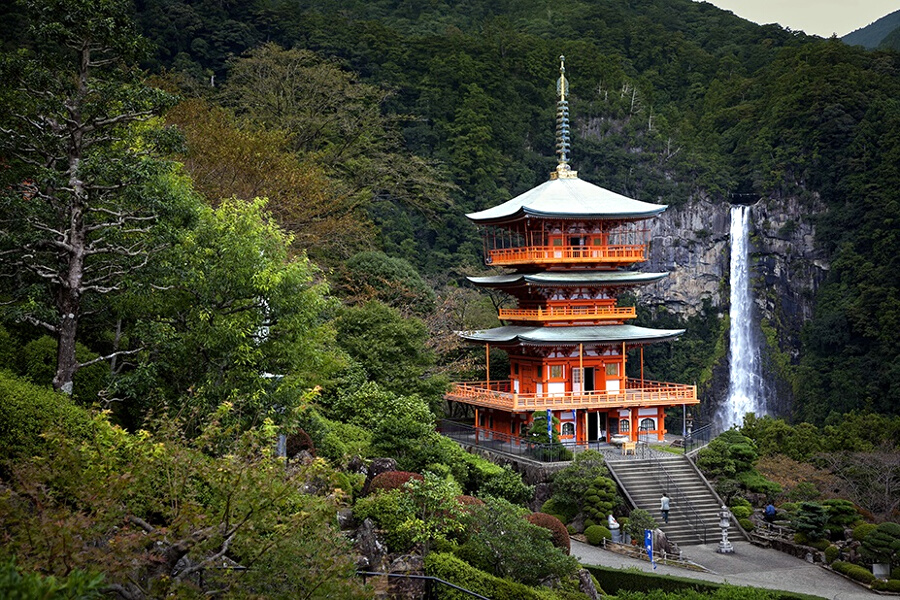 Кодо фото